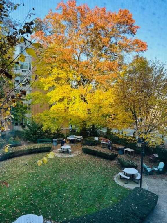 90 Bryant Avenue, Unit #Embessy 2D, White Plains, NY 10605 - Photo 4 of 21