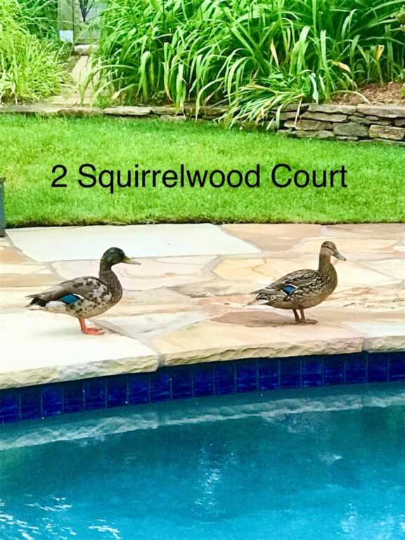 2 Squirrelwood Court, New City, NY 10956 - Photo 21 of 46