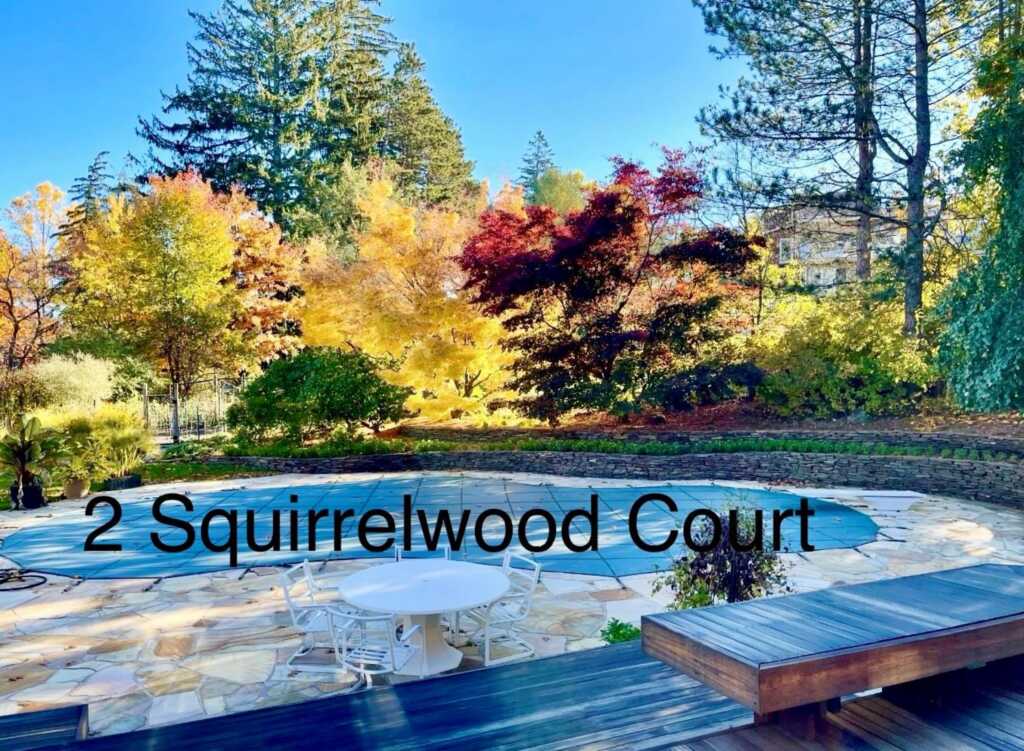 2 Squirrelwood Court, New City, NY 10956 - Photo 36 of 46