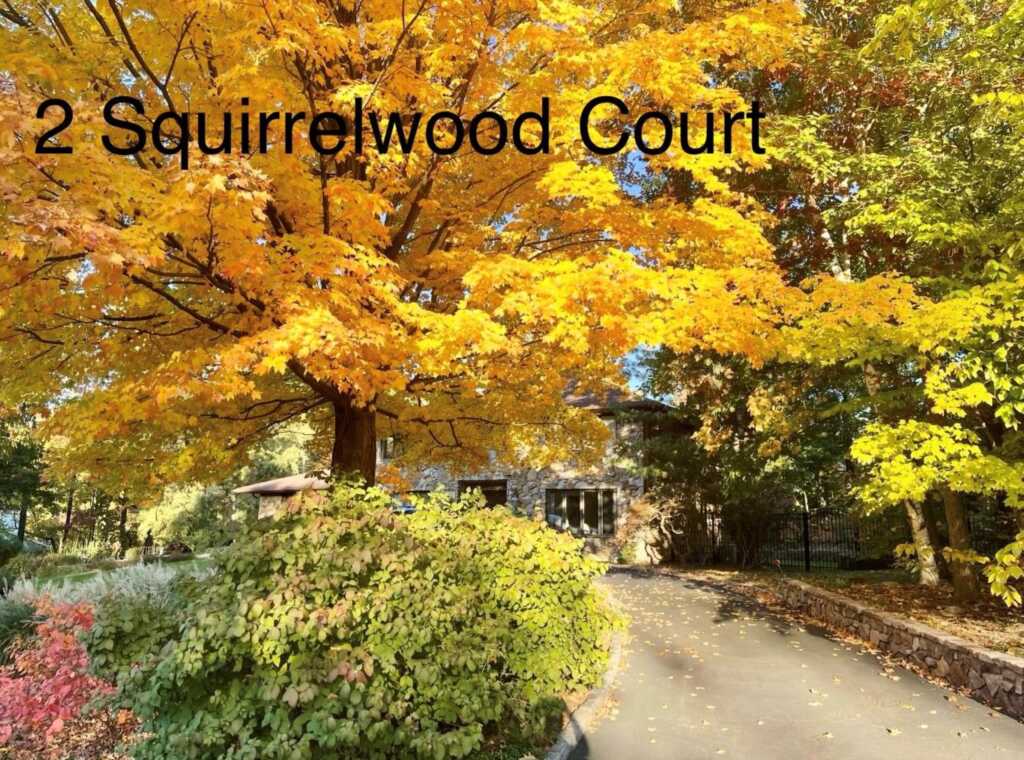 2 Squirrelwood Court, New City, NY 10956 - Photo 41 of 46