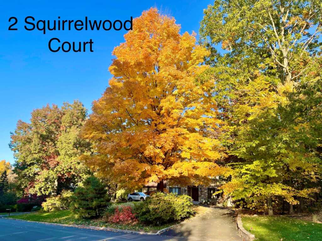 2 Squirrelwood Court, New City, NY 10956 - Photo 6 of 46