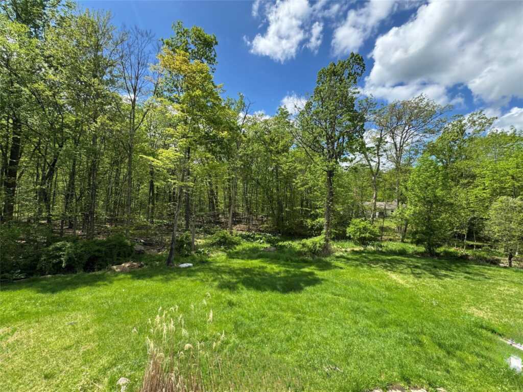 369 Buena Vista Road, New City, NY 10956 - Photo 6 of 7