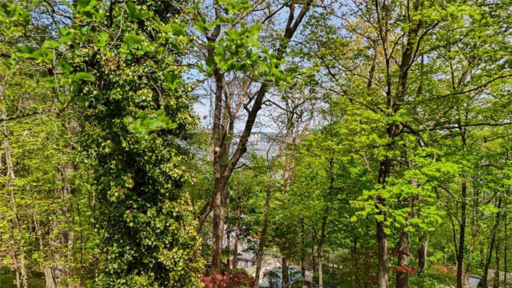 159 Tweed Boulevard, Nyack, NY 10960 - Photo 33 of 34