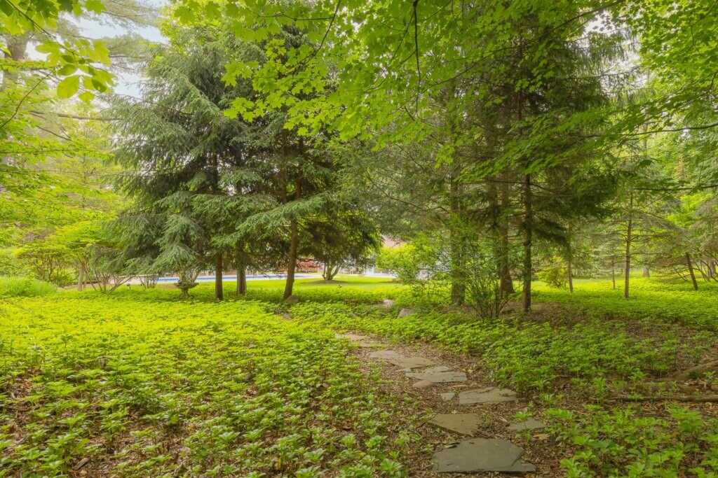 211 N Little Tor Road, New City, NY 10956 - Photo 5 of 36