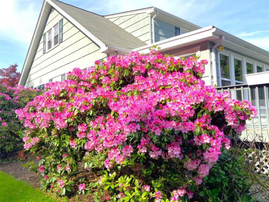 43 Glenwood Road, New City, NY 10956 - Photo 36 of 41