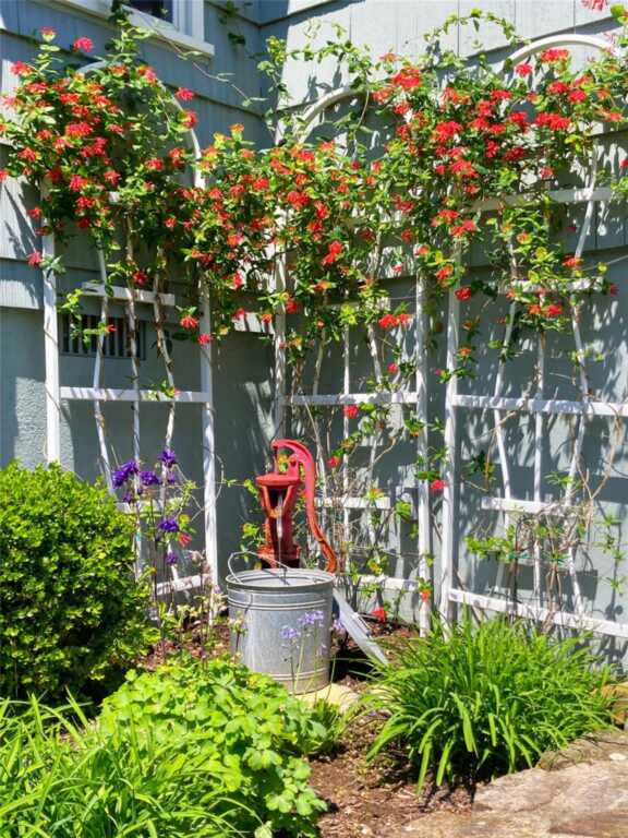 43 Glenwood Road, New City, NY 10956 - Photo 39 of 41