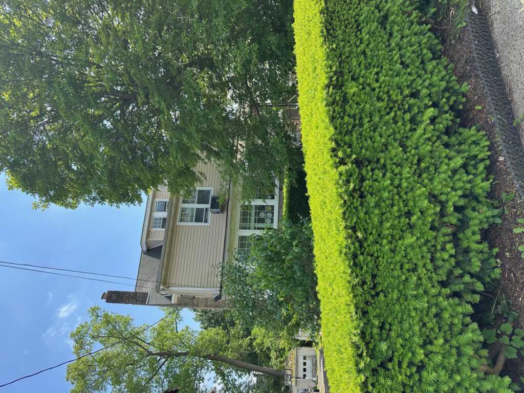 12 Ferdinand Place, New Rochelle, NY 10801 - Photo 10 of 12