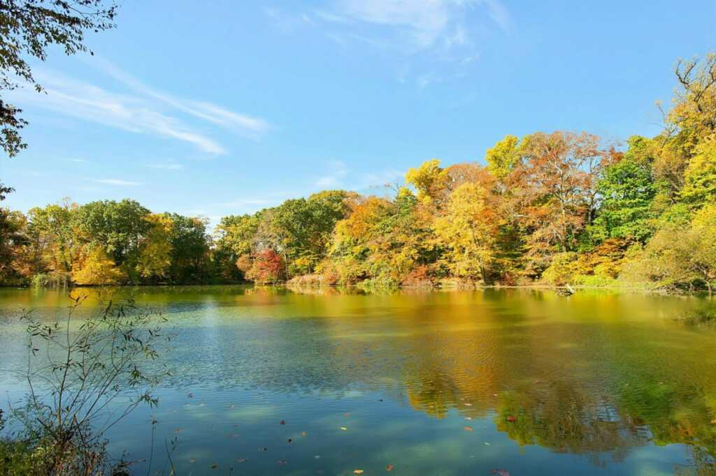 92 Glenwood Avenue, New Rochelle, NY 10801 - Photo 41 of 46