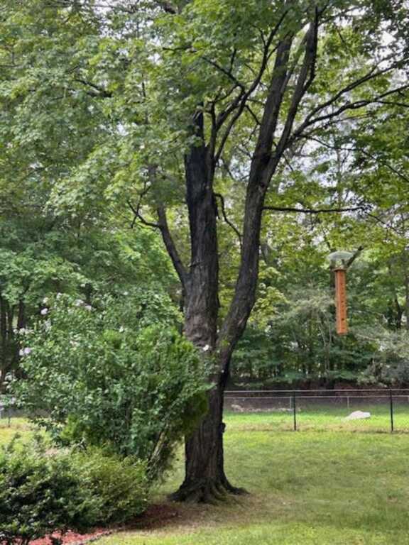 40 James Street, New City, NY 10956 - Photo 35 of 45