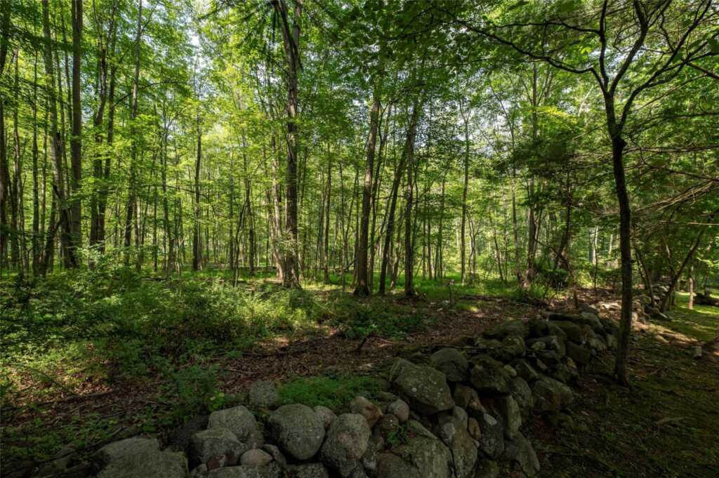 204 Radcliff Drive, Nyack, NY 10960 - Photo 39 of 44