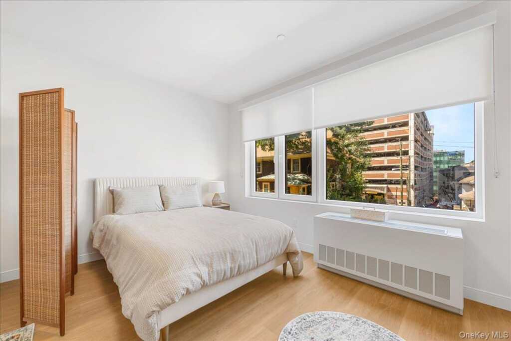 8 Chester Avenue, Unit #201, White Plains, NY 10601 - Photo 9 of 10