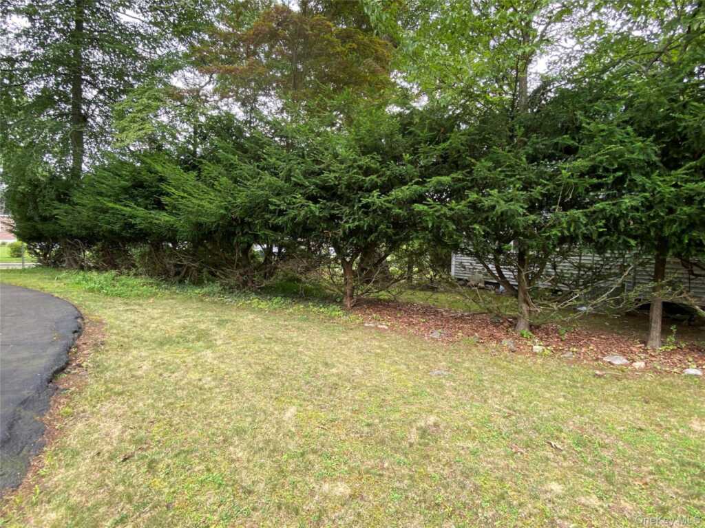 217 Washington Avenue, Pearl River, NY 10965 - Photo 37 of 50