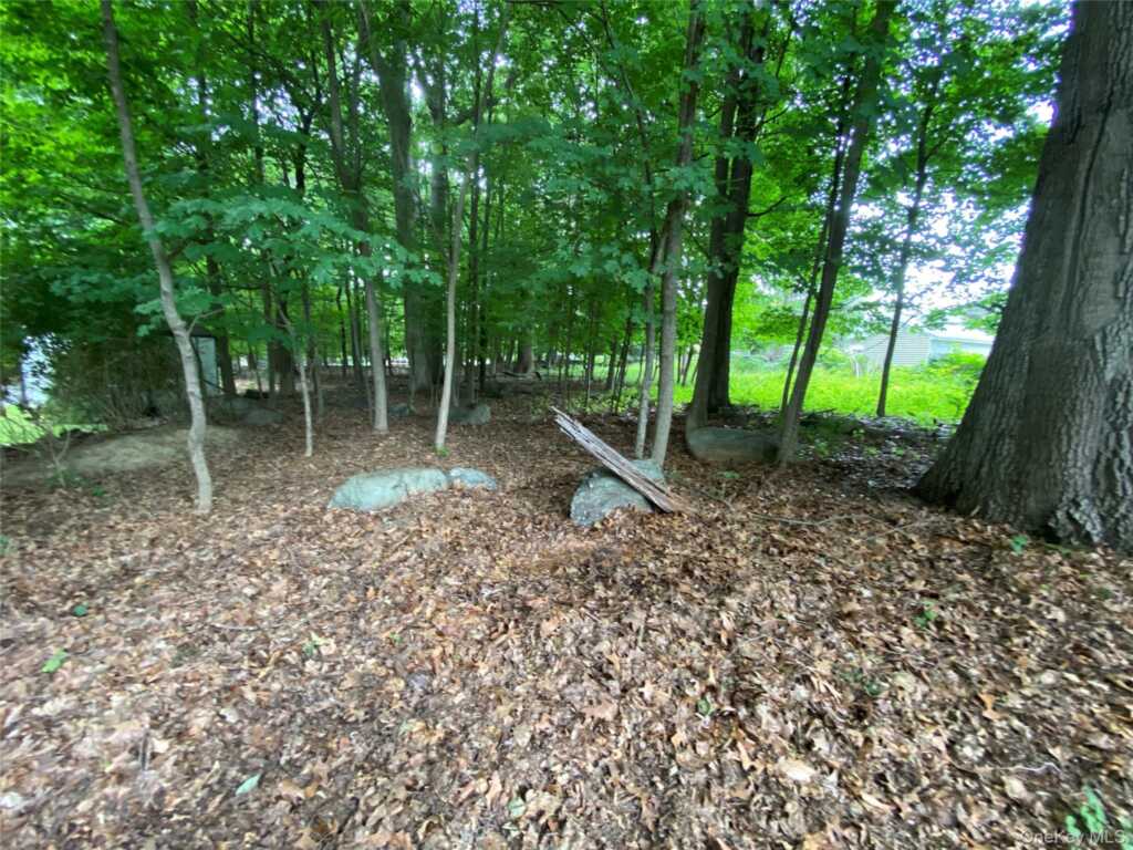 217 Washington Avenue, Pearl River, NY 10965 - Photo 39 of 50