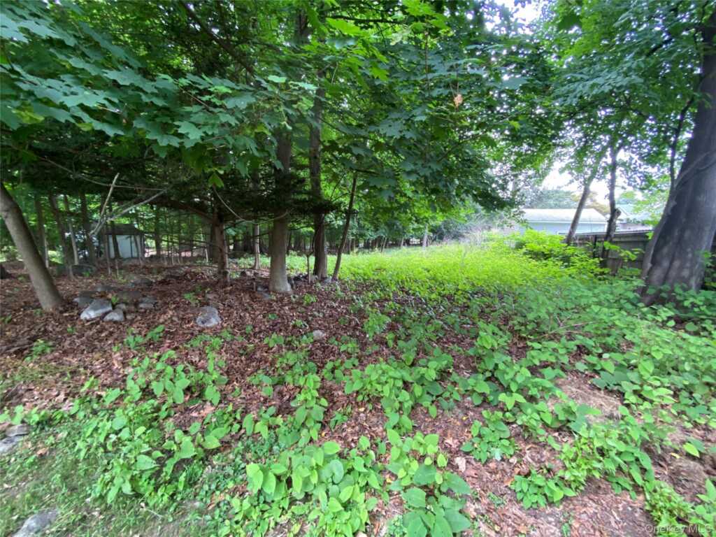 217 Washington Avenue, Pearl River, NY 10965 - Photo 40 of 50