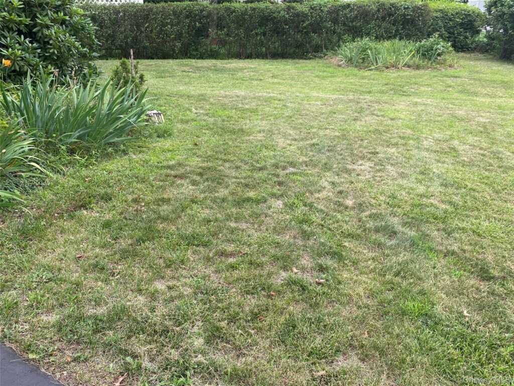 217 Washington Avenue, Pearl River, NY 10965 - Photo 41 of 50