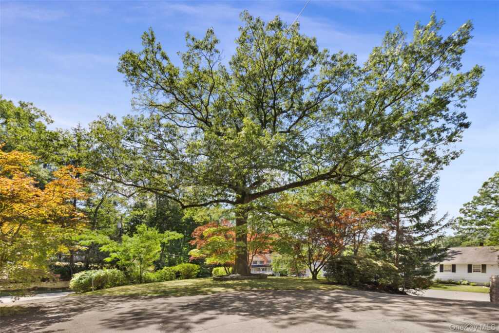 23 Prospect Place, Suffern, NY 10901 - Photo 32 of 36