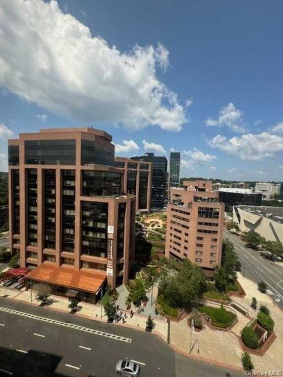 4 Martine Avenue, Unit #1402, White Plains, NY 10606 - Photo 6 of 27