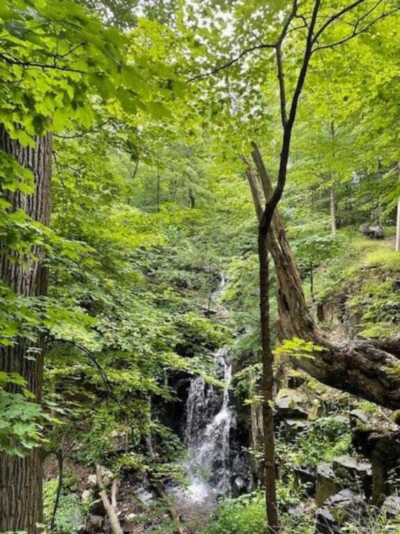 2 Buttermilk Falls, Nyack, NY 10960 - Photo 33 of 41
