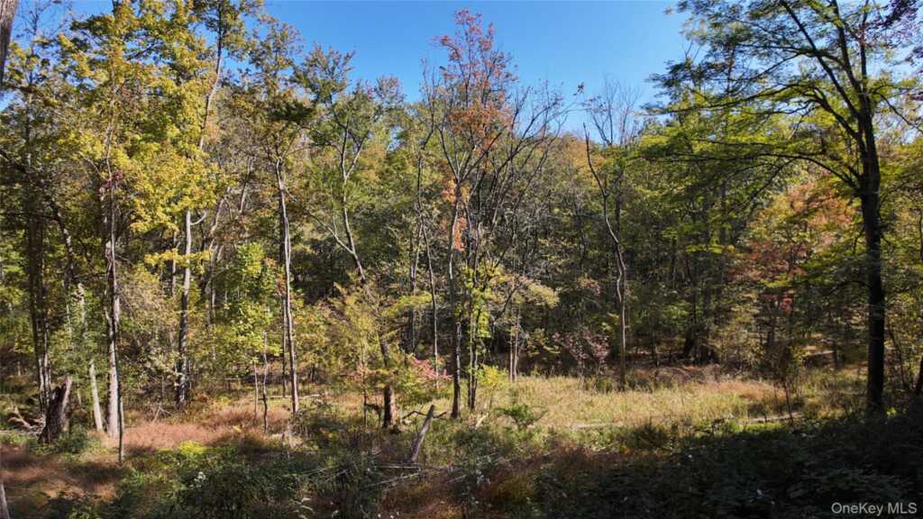 96 Old Pascack Road, Pearl River, NY 10965 - Photo 39 of 41