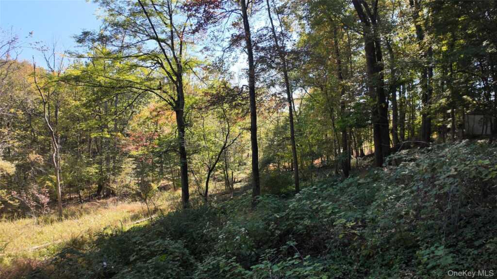96 Old Pascack Road, Pearl River, NY 10965 - Photo 40 of 41
