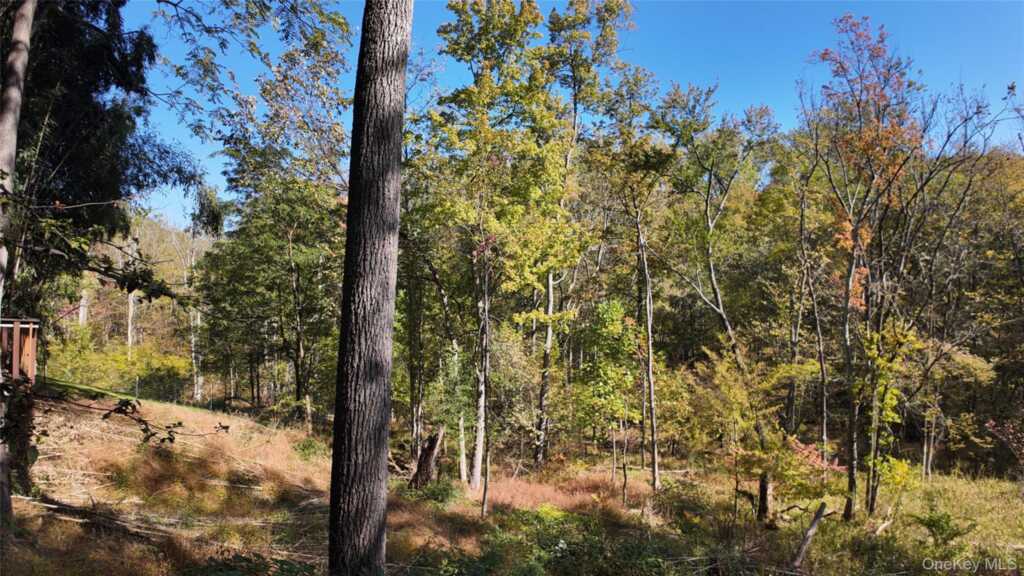 96 Old Pascack Road, Pearl River, NY 10965 - Photo 41 of 41
