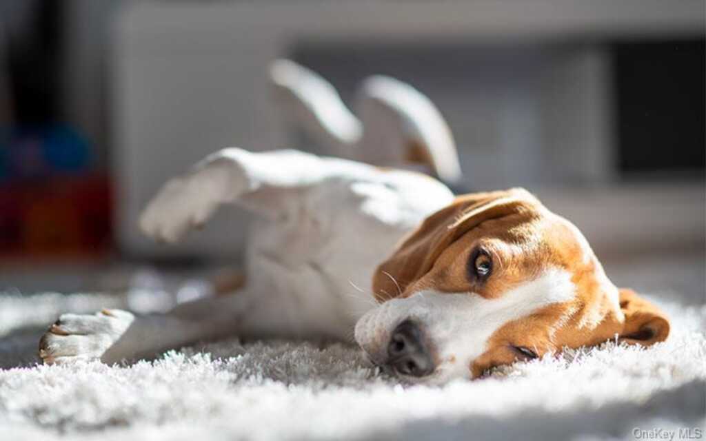 1 Dekalb Avenue, Unit #406, White Plains, NY 10605 - Photo 17 of 18