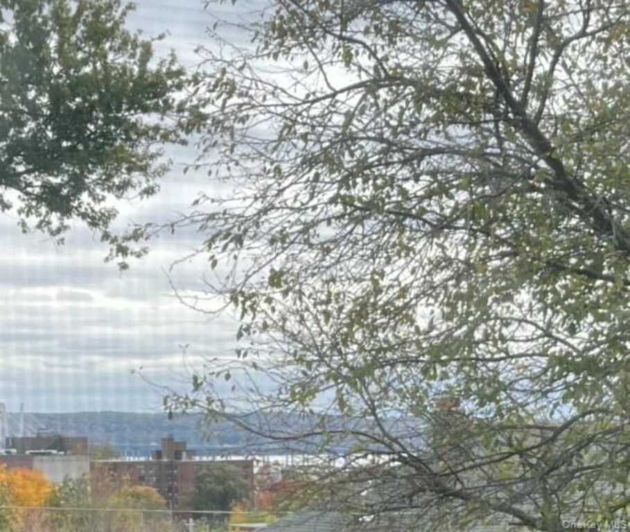 151 High Avenue, Unit #1, Nyack, NY 10960 - Photo 18 of 18