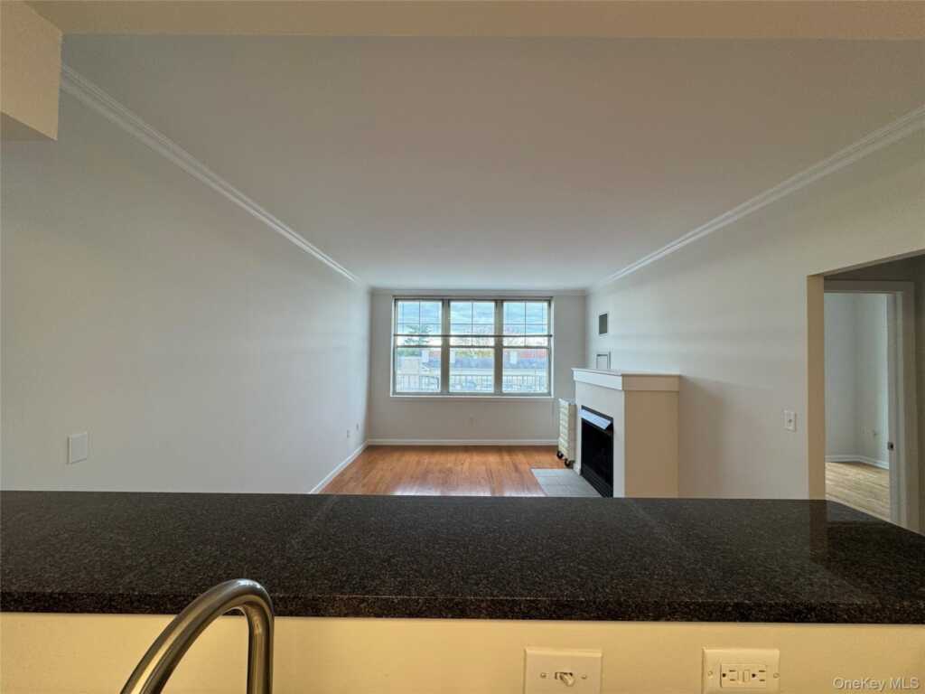 300 Mamaroneck Avenue, Unit ##819, White Plains, NY 10605 - Photo 5 of 21