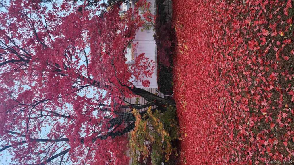 22 Beach Street, Unit #1, White Plains, NY 10604 - Photo 16 of 16