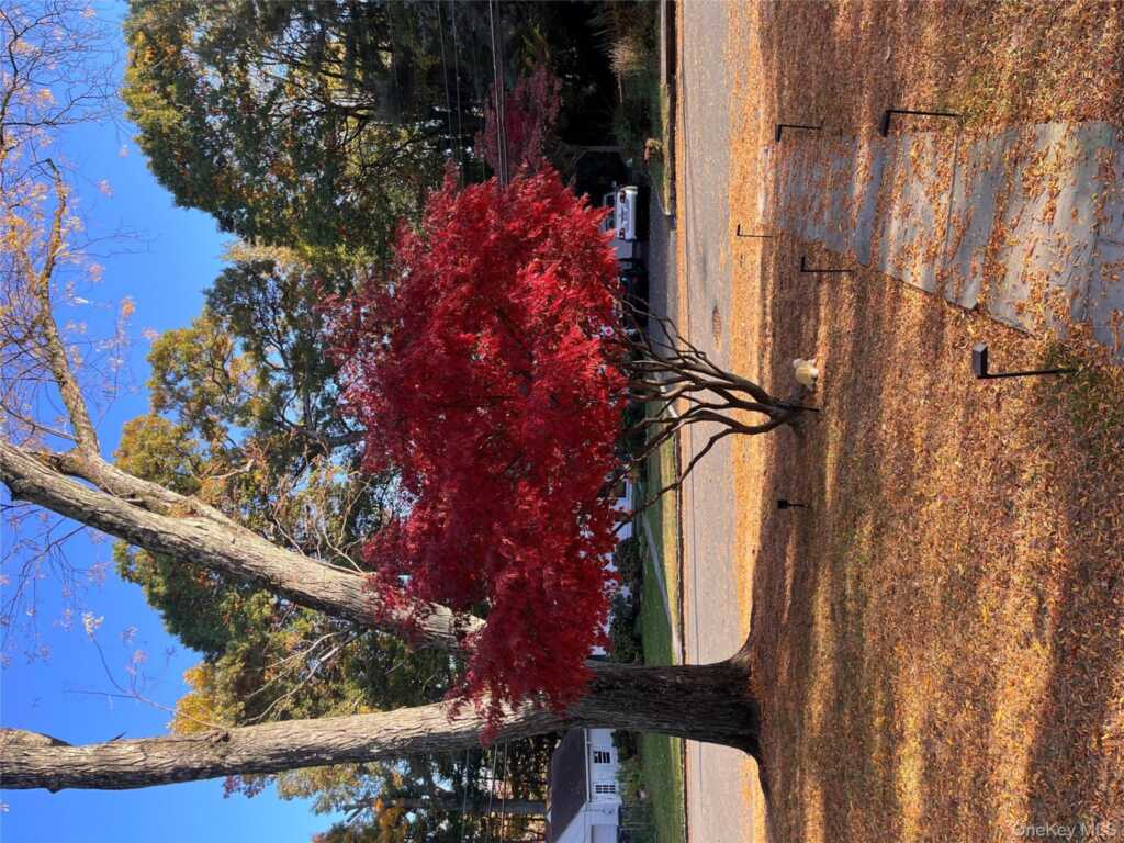 110 Topland Road, White Plains, NY 10605 - Photo 35 of 37