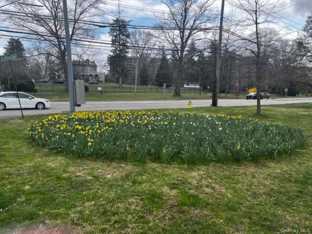 55 Broadway, Unit #1-25, White Plains, NY 10601 - Photo 16 of 19