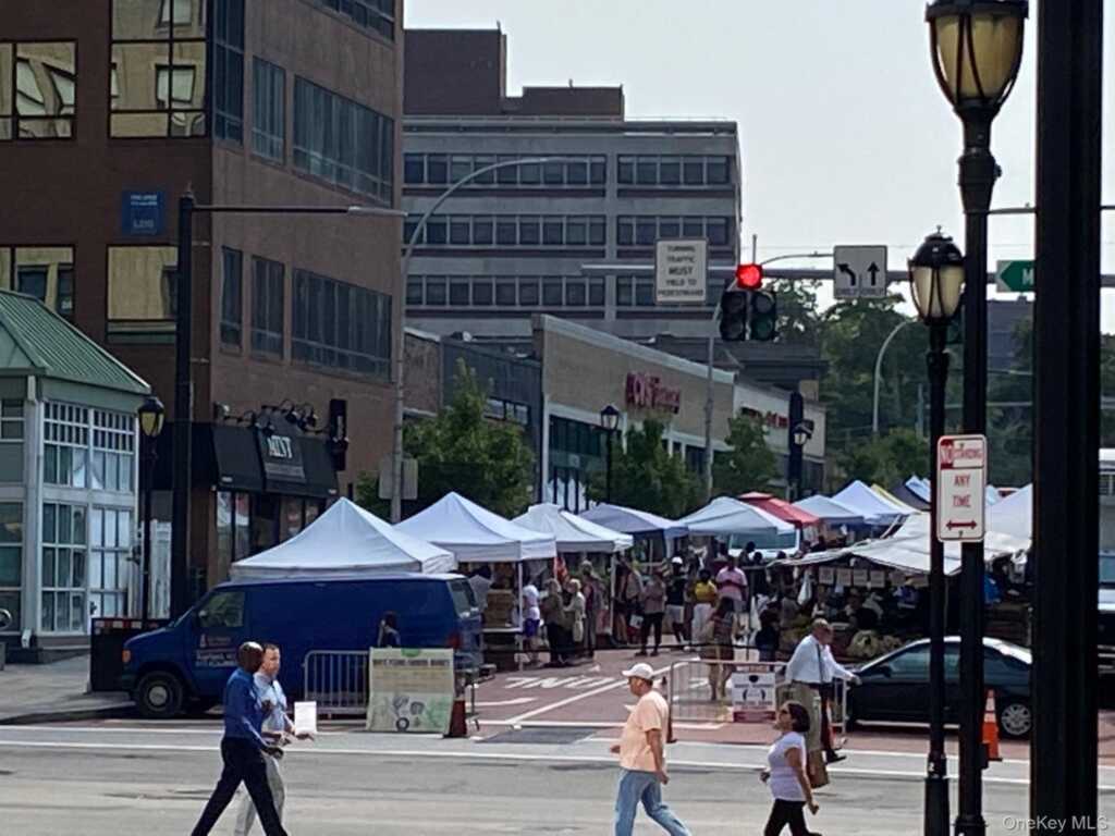 55 Broadway, Unit #1-25, White Plains, NY 10601 - Photo 19 of 19