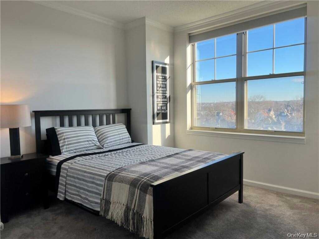 300 Mamaroneck Avenue, Unit #718, White Plains, NY 10605 - Photo 5 of 22