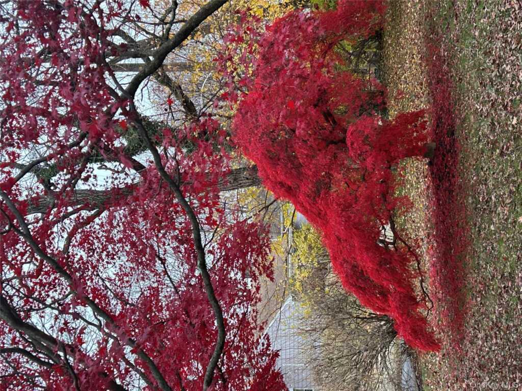 3 Oakridge Drive, Rye, NY 10573 - Photo 24 of 25