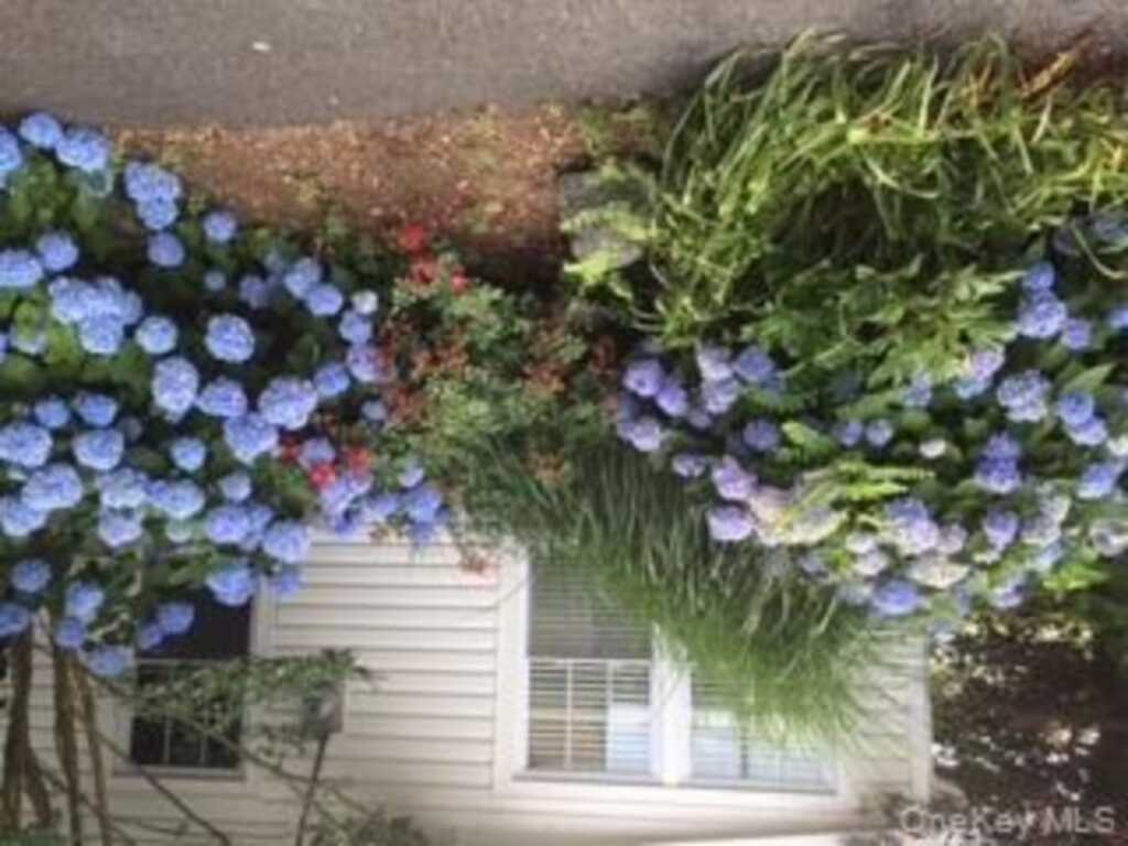 8 Ridgeland Terrace, Rye, NY 10580 - Photo 21 of 22