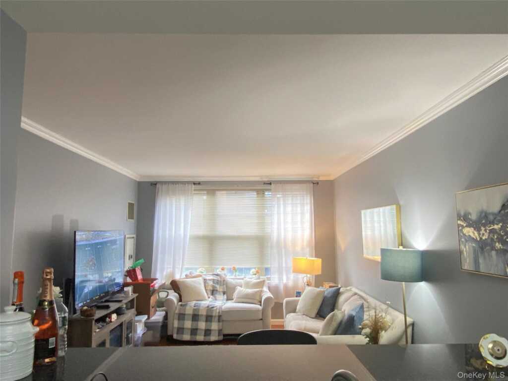 300 Mamaroneck Avenue, Unit #417, White Plains, NY 10605 - Photo 13 of 17