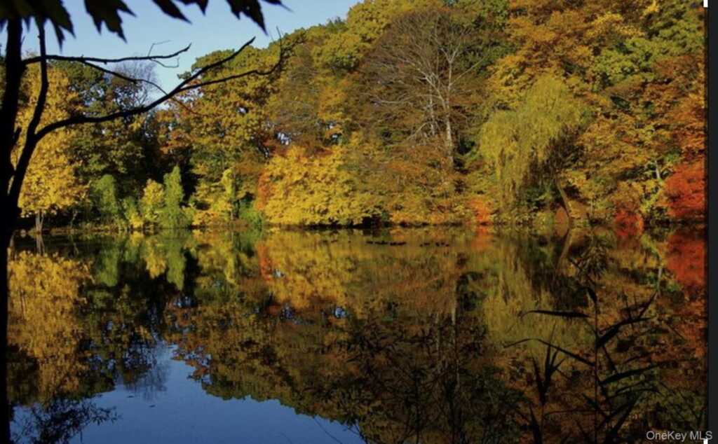 11 Muir Place, New Rochelle, NY 10801 - Photo 20 of 24