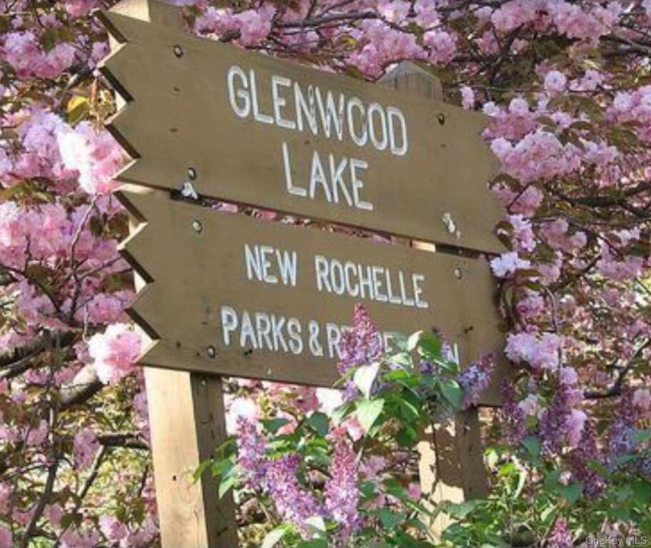 11 Muir Place, New Rochelle, NY 10801 - Photo 29 of 30