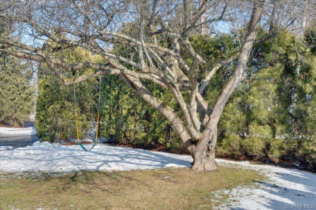 1079 Weaver Street, New Rochelle, NY 10804 - Photo 35 of 41