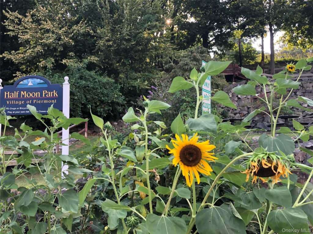 2 W Lawrence Park Drive, Unit #8, Piermont, NY 10968 - Photo 17 of 25