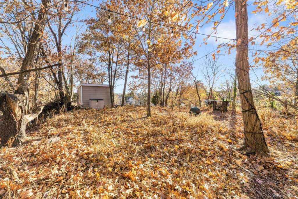 273 Madison Avenue, Rye, NY 10573 - Photo 24 of 25