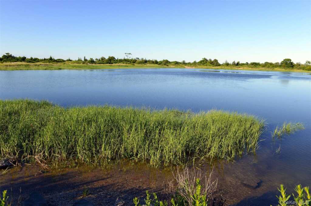 37 Barlow Lane, Rye, NY 10580 - Photo 39 of 40