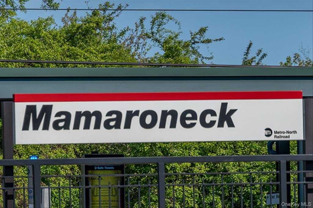 319 Union Avenue, Rye, NY 10543 - Photo 22 of 26