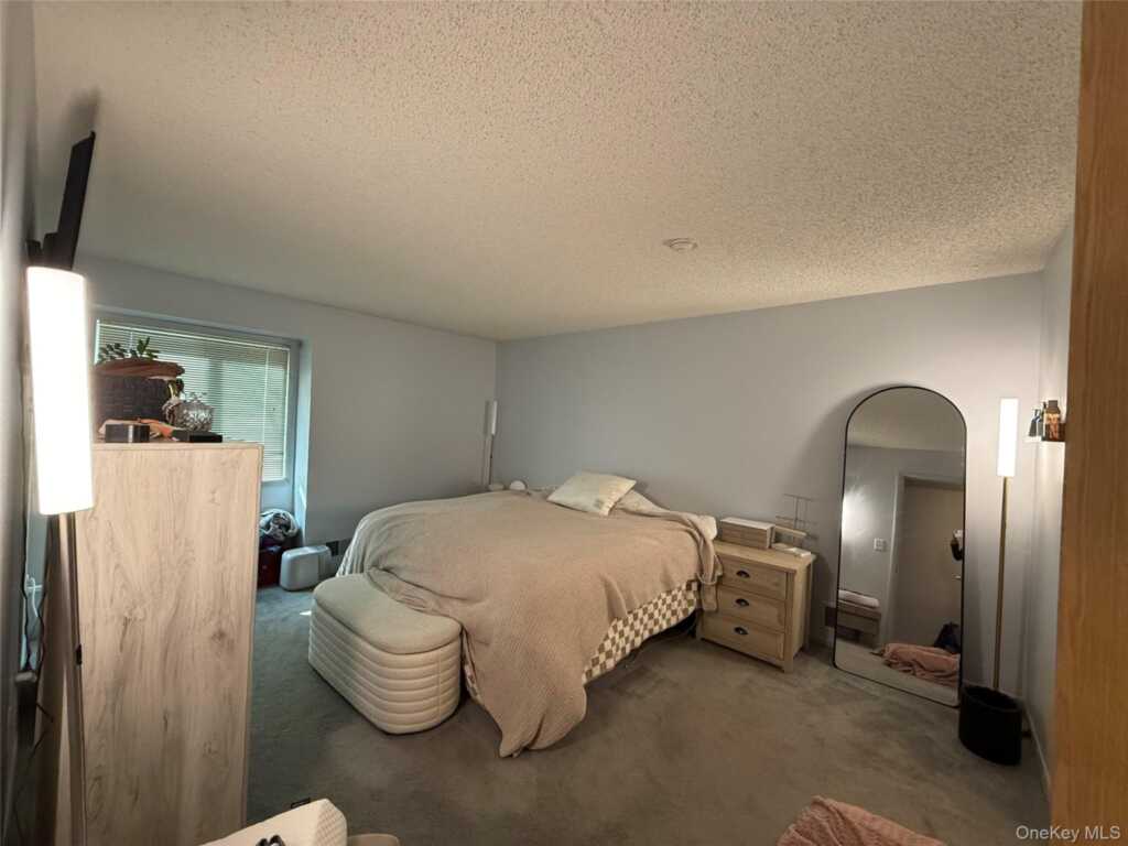 70 Chester Lane, Nanuet, NY 10954 - Photo 5 of 10