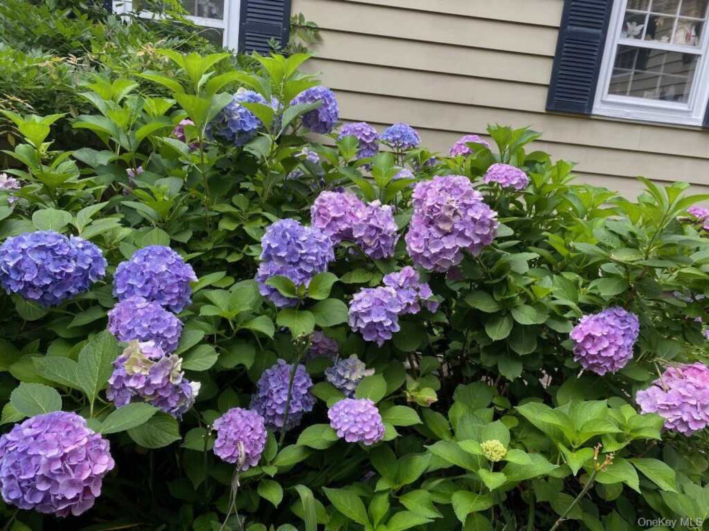 16 and 16A Brook Street, Suffern, NY 10901 - Photo 27 of 45