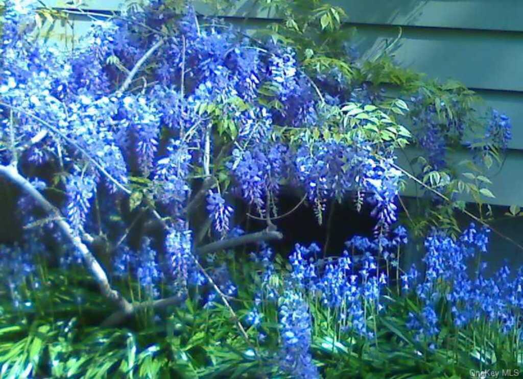 16 and 16A Brook Street, Suffern, NY 10901 - Photo 29 of 45