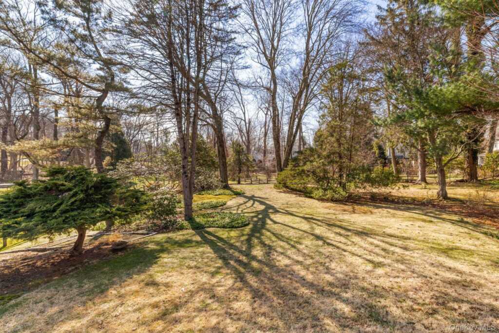 321 Locust Avenue, Rye, NY 10580 - Photo 10 of 46