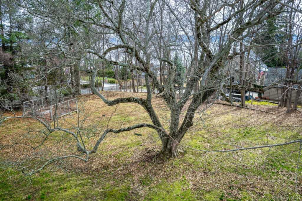 23 Clinton Avenue, Nyack, NY 10960 - Photo 35 of 44