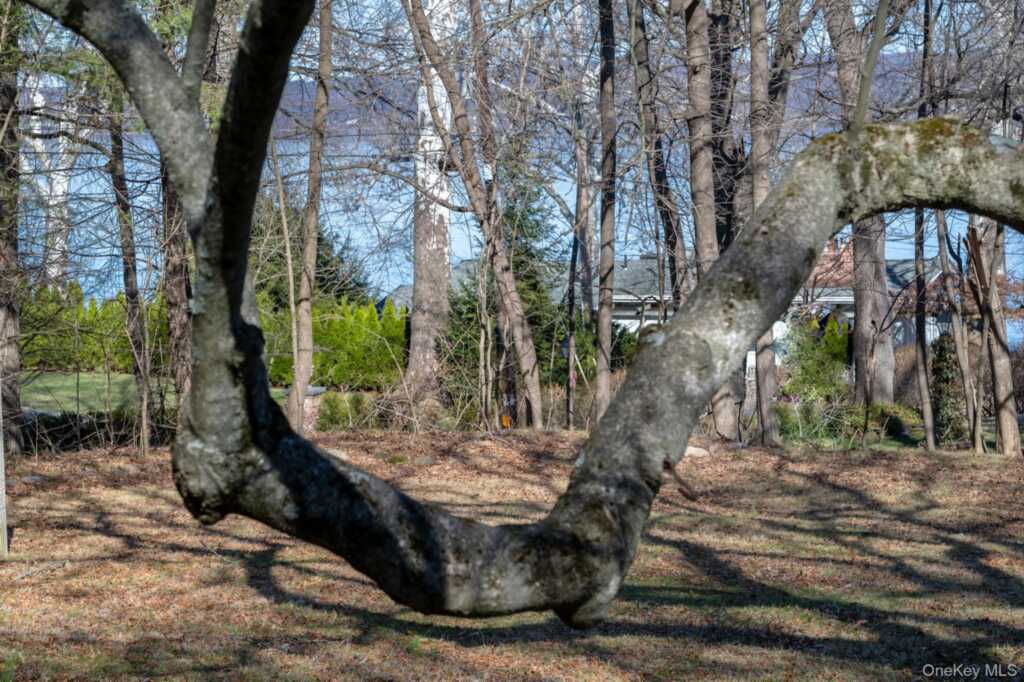 23 Clinton Avenue, Nyack, NY 10960 - Photo 40 of 44