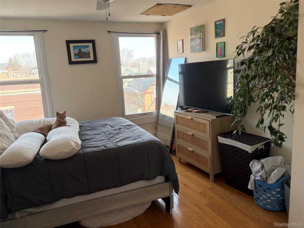 116A Main Street, Unit #3, Nyack, NY 10960 - Photo 9 of 12